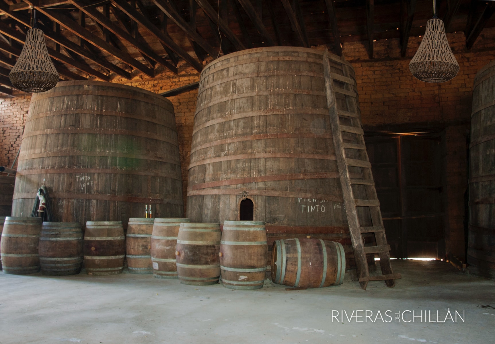 Viñedo de Riveras del Chillán